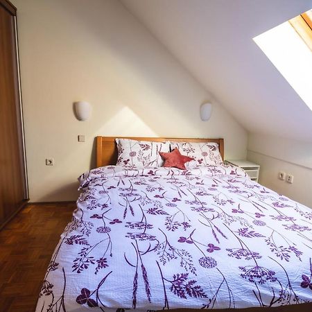 Relax Apartment In Banovci 维尔兹 外观 照片